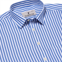 Skyline Stripe Shirt