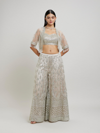 Fawn Flair Net-Embellished Indo Western