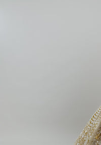 Sunshine Yellow Lehenga